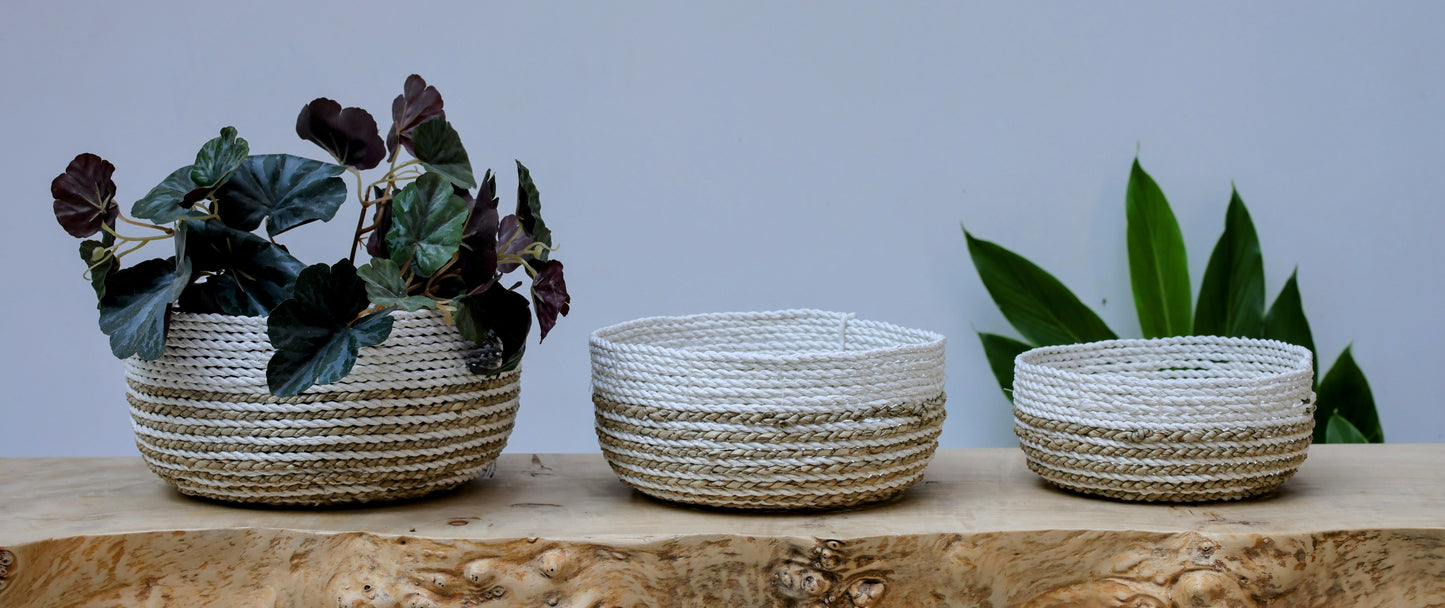 Kai Striped Seagrass Baskets - White & Natural (Set of 3)