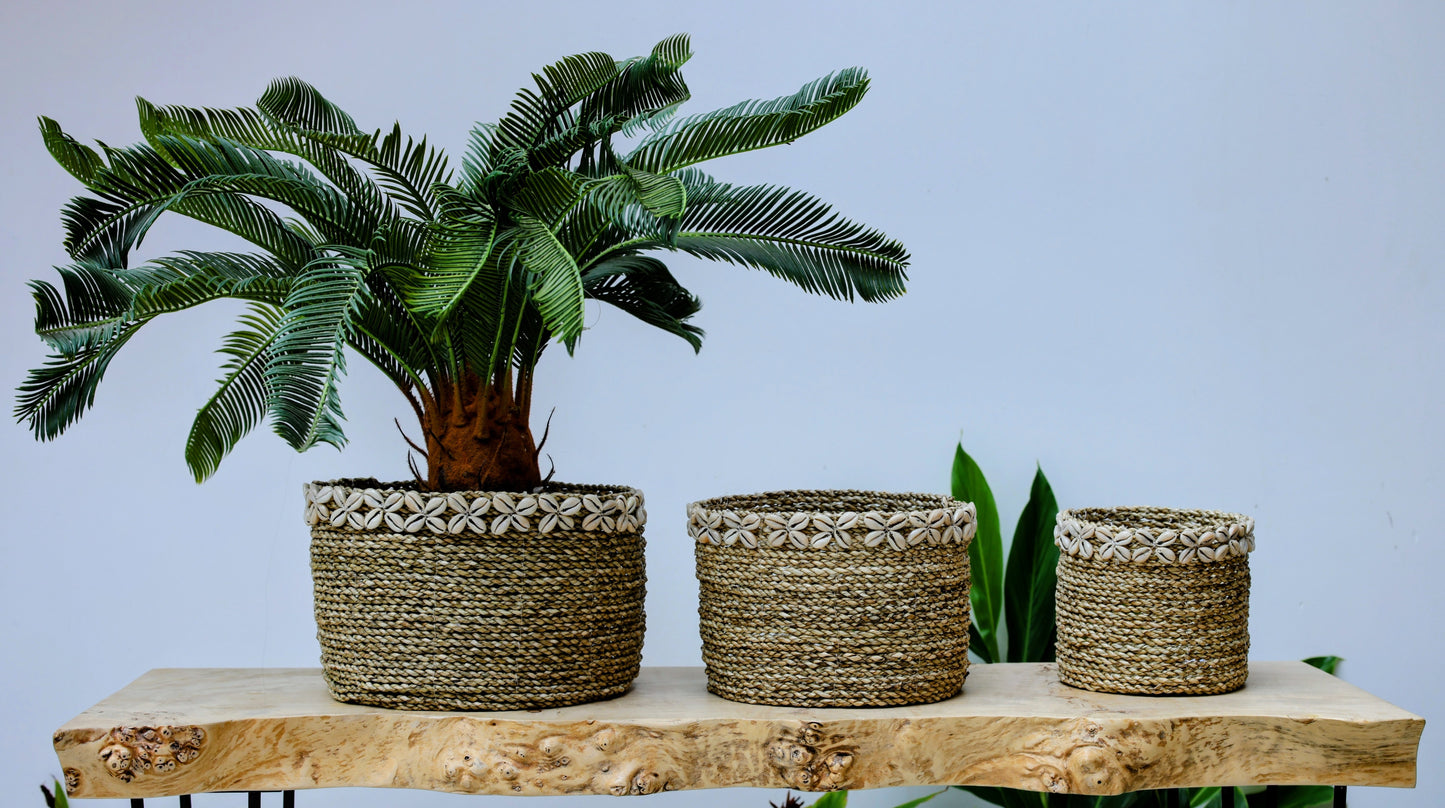 Oriana Seagrass Planter Baskets with Cowrie Shells (Set of 3)