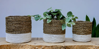 Laguna Two-Tone Seagrass Planter | White & Natural (Set of 3)