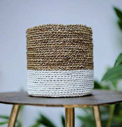 Laguna Two-Tone Seagrass Planter | White & Natural (Set of 3)