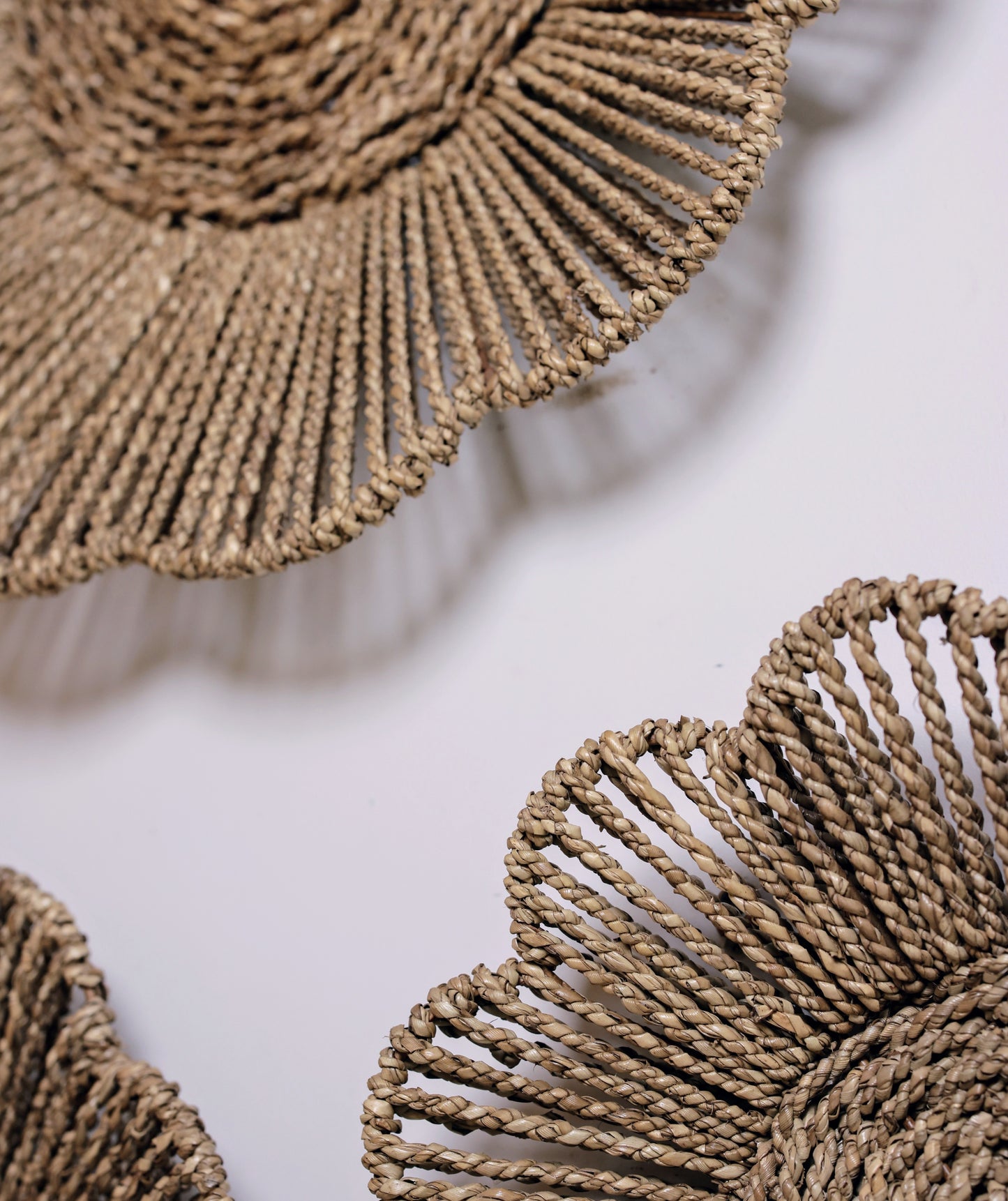 Aylen Natural Seagrass Woven Wall Art - Set of 3 Floral Hangings