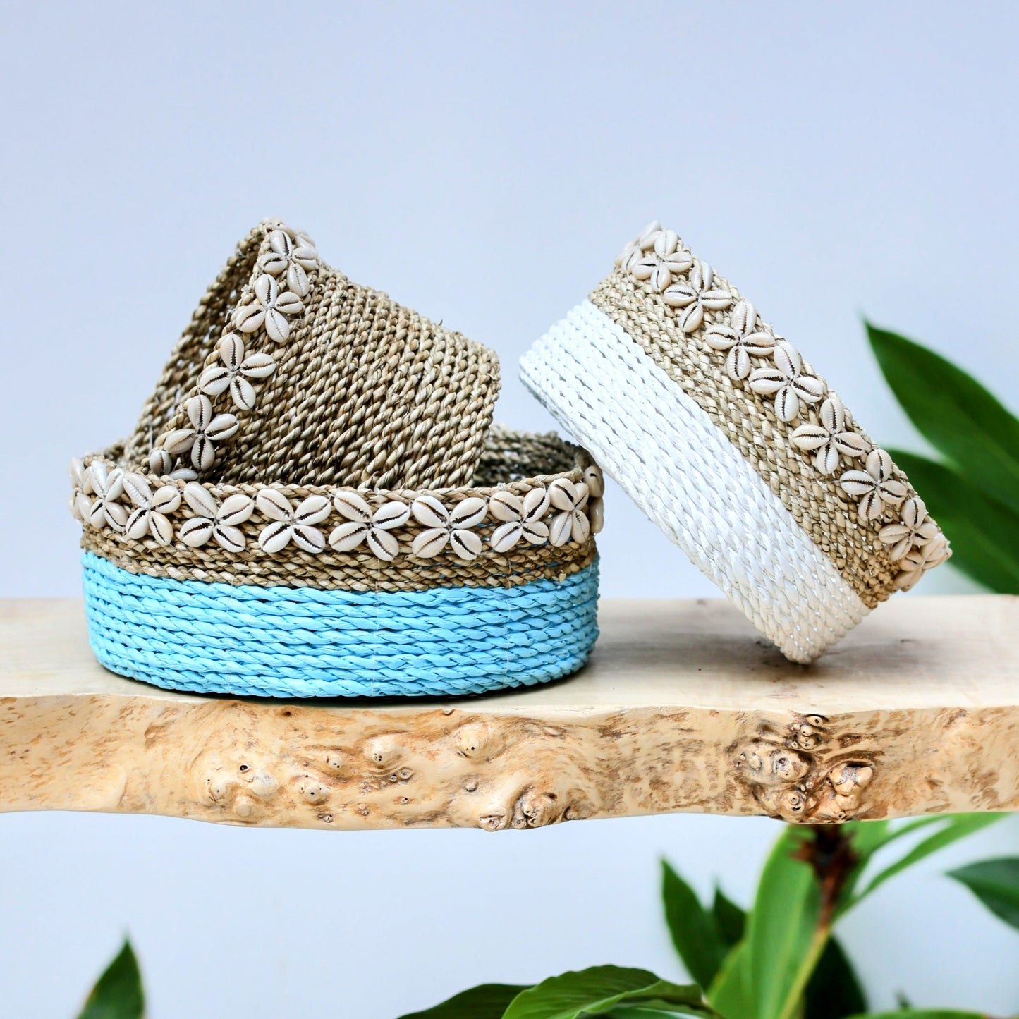 Maren Coastal Blue Seagrass Baskets with Cowrie Shells (Set of 3)