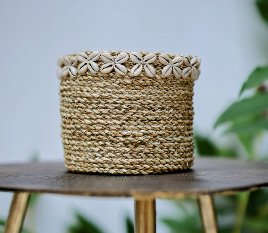 Oriana Seagrass Planter Baskets with Cowrie Shells (Set of 3)