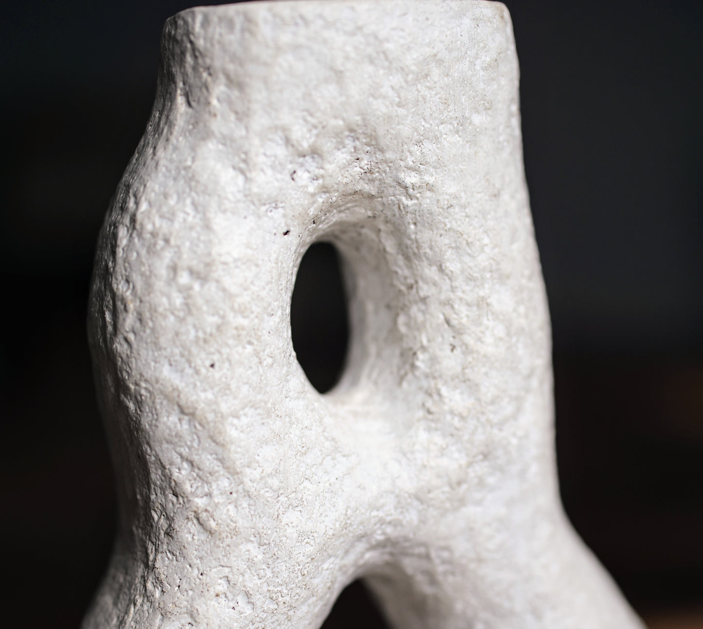 The Fossil Form Vase